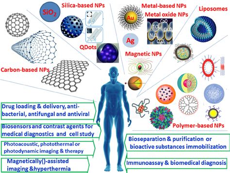 The Role of Nanoparticles in Targeted Drug Delivery